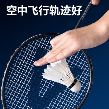 得力（deli）鸭毛耐打优选飞行稳定防风弹力球头训练比赛大桶装羽毛球 12只 