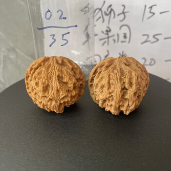 白狮子头文玩核桃新款- 白狮子头文玩核桃2021年新款- 京东