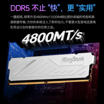 金百达(KINGBANK)16GB DDR5 4800 台式机内存条 银爵 金百达(KINGBANK)16GB DDR5 4800 台式机内存条 银爵