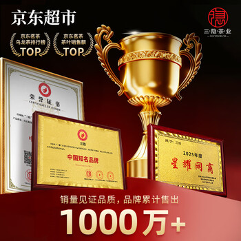 三隐茶叶乌龙茶 正宗安溪铁观音浓香型茶叶礼盒装500g年货送礼送长辈