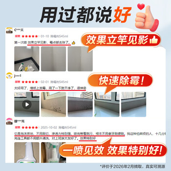 MISTOLIN进口墙体除霉剂545ml墙壁墙面霉斑清除剂去霉菌霉点白墙木材防霉