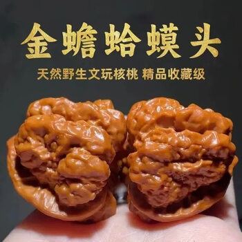 文完核桃金蝉品牌及商品- 京东