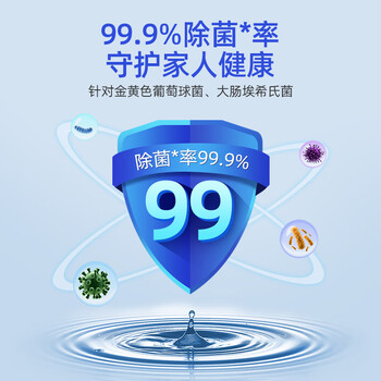 红玫瑰（Hongmeigui） 生姜洗洁精1.5kg生姜提取液去腥去膻去油污A类食品用冷水去重油