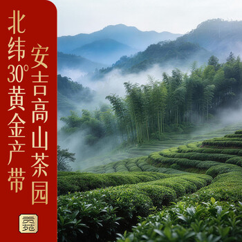 贡苑头采安吉白茶黄金芽特级400g 2025新绿茶高档茶叶礼盒年货节送人