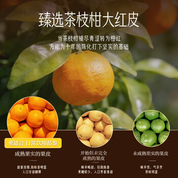 贡苑地理标志·新会陈皮10年礼盒250g 正宗广东十年老陈皮泡水陈皮茶