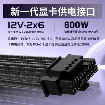 长城（Great Wall）额定1200W F12白金牌全模组（ATX3.1标准/原生PCIe5.1/自动启停/全电压/闪电加速）