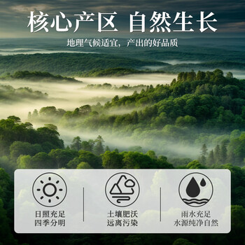 福茗源茶叶 花草茶 金银花胎菊枸杞茶搭蒲公英桂花养生茶凉茶3罐装260g