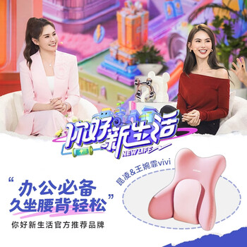 思莱宜腰靠护腰靠垫腰靠腰部靠枕办公护腰靠垫靠背护腰久坐神器靠背护腰