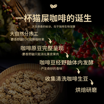 RA.BURI 麝香猫咖啡精品挂耳猫屎咖啡进口原料送礼礼品礼盒10g*12杯