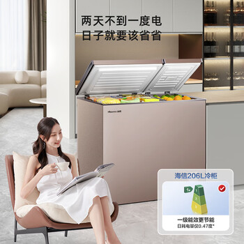 海信（Hisense）206升双温冰柜一级能效冷藏冷冻两用独立分区速冻小型冷柜BCD-206NUD