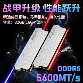 金百达(KINGBANK)32GB(16GBX2)套装 DDR5 5600 台式机内存条 银爵 金百达(KINGBANK)32GB(16GBX2)套装 DDR5 5600 台式机内存条 银爵