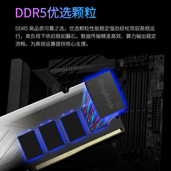 金百达(KINGBANK)16GB DDR5 4800 台式机内存条 银爵 金百达(KINGBANK)16GB DDR5 4800 台式机内存条 银爵