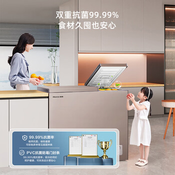海信（Hisense）206升双温冰柜一级能效冷藏冷冻两用独立分区速冻小型冷柜BCD-206NUD