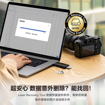 雷克沙（Lexar）256GB SD存储卡 U3 V30 佳能索尼富士尼康相机高速SD卡 读225MB/s 写160MB/s 4K超清录制 SD银卡