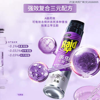 雷达（Raid）杀虫剂喷雾550ml*2瓶无香型家用室内杀虫气雾剂 蟑螂药 灭蟑螂