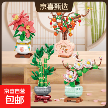 梅兰竹菊并称图片- 京东