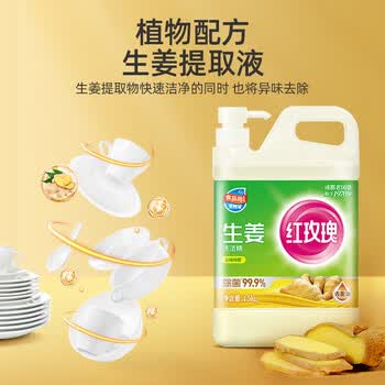 红玫瑰（Hongmeigui） 生姜洗洁精1.5kg生姜提取液去腥去膻去油污A类食品用冷水去重油