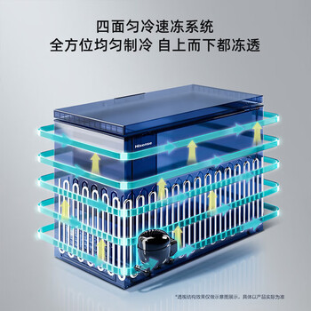 海信（Hisense）206升双温冰柜一级能效冷藏冷冻两用独立分区速冻小型冷柜BCD-206NUD
