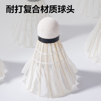 得力（deli）鸭毛耐打优选飞行稳定防风弹力球头训练比赛大桶装羽毛球 12只 