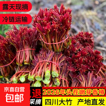 红油香椿价格报价行情- 京东