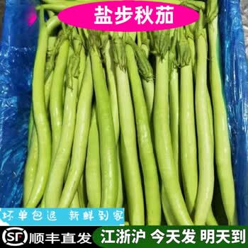 自然之星茄瓜价格报价行情- 京东