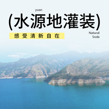 依能天然苏打水 无糖无汽无添加500ml*24瓶塑膜装 弱碱饮用天然水解渴