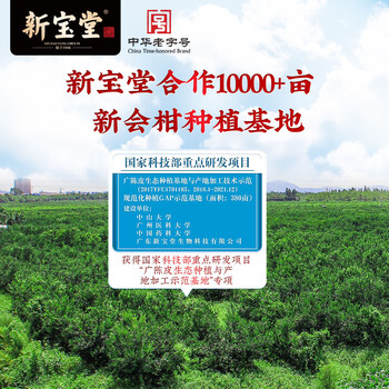 岭南新宝堂二十年新会陈皮20年新会老陈皮水晶礼盒50克