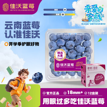 蓝莓一箱价格报价行情- 京东