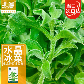 水晶冰菜种子品牌及商品- 京东
