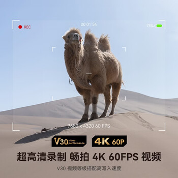 雷克沙（Lexar）256GB SD存储卡 U3 V30 佳能索尼富士尼康相机高速SD卡 读225MB/s 写160MB/s 4K超清录制 SD银卡