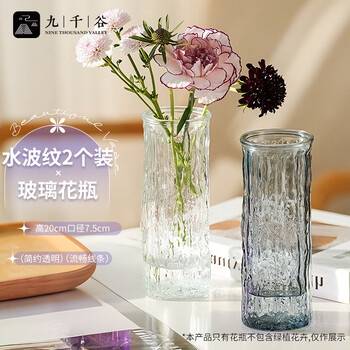 透明小花瓶价格报价行情- 京东