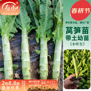 莴笋和莴苣- 京东