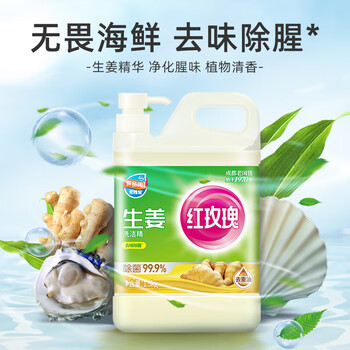 红玫瑰（Hongmeigui） 生姜洗洁精1.5kg生姜提取液去腥去膻去油污A类食品用冷水去重油
