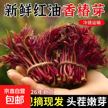 红油香椿价格报价行情- 京东