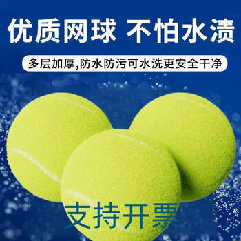 国瑞信德网球 业余娱乐练习球 单只装  练习用网球