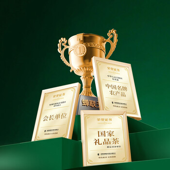 贡牌2026新茶上市 绿茶西湖龙井茶AA一级250g明前礼盒装源头直发