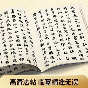华夏万卷颜真卿多宝塔碑毛笔字帖碑帖 书法入门临摹软笔初学者练习临摹教程配视频范本培训班文房四宝