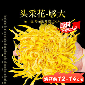 贡苑【一朵顶4朵超大朵】金丝皇菊花茶独立装特一朵一壶9朵级13.5g