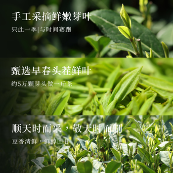 狮峰牌2026年新茶上市绿茶龙井茶叶春茶明前特级头采50g罐装自己喝