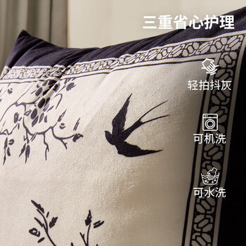圣瓦伦丁抱枕沙发客厅靠枕床头靠背垫轻奢枕套含芯内胆可拆洗升级款