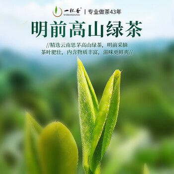 一杯香茶叶茉莉花茶特级500g新茶礼盒装送礼茉莉绿茶自己喝散装茗茶