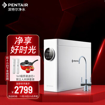 滨特尔(pentair) 净水器家用直饮 双出水大流量厨房过滤净水机RO反渗透智能显示无桶纯水机