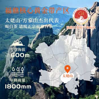 熙溪福鼎白茶 2016年寿眉老白茶 福鼎源产太姥山寿眉 300g礼盒装 父亲节端午送礼 60片 茶叶