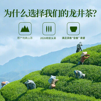 天福茗茶龙井 早春绿茶浙江龙井100g罐装茶叶 2026春茶绿茶