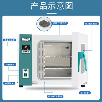 恩谊 电热恒温鼓风干燥箱实验室药材烘干老化试验工业烤箱 不锈钢内胆 101-0内部35*35*35cm-42升
