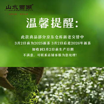 山水西湖龙井绿茶明前2026新茶特级头采茶叶礼盒豆香独立小包100g送礼领导