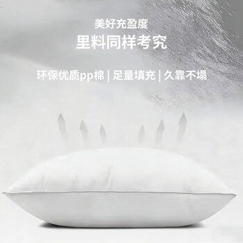 圣瓦伦丁抱枕沙发客厅靠枕床头靠背垫轻奢枕套含芯内胆可拆洗升级款