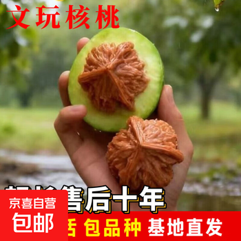 文玩核桃树价格报价行情- 京东