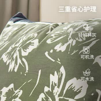 圣瓦伦丁沙发抱枕女生睡觉靠枕靠垫靠背床上客厅轻奢高级感可拆洗 45*45cm