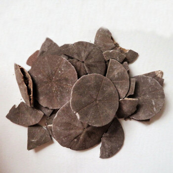 百日山中药材   海金钱500克 金钱子 100g